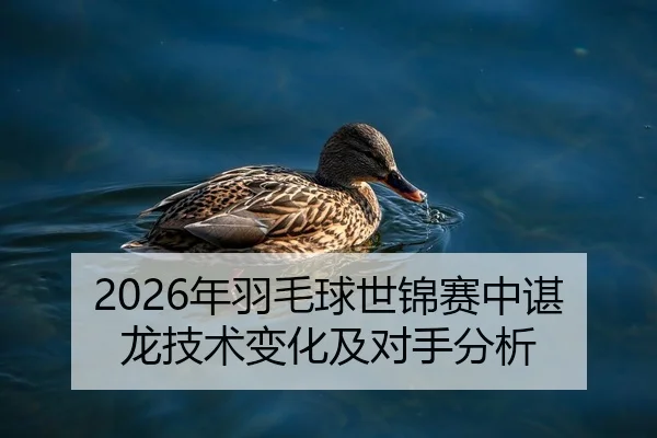 2026年羽毛球世锦赛中谌龙技术变化及对手分析