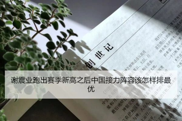 谢震业跑出赛季新高之后中国接力阵容该怎样排最优